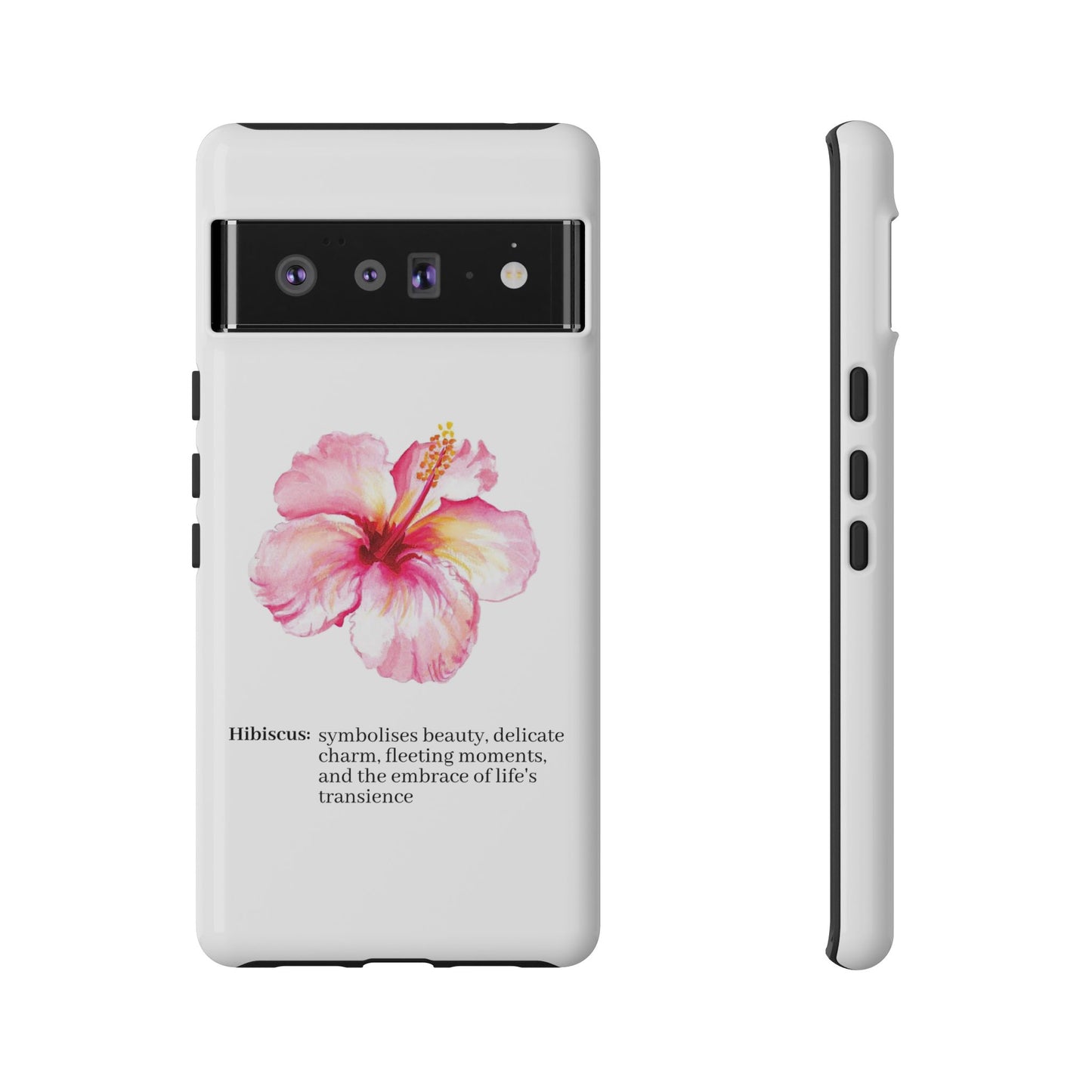 Hibiscus Aesthetic v1