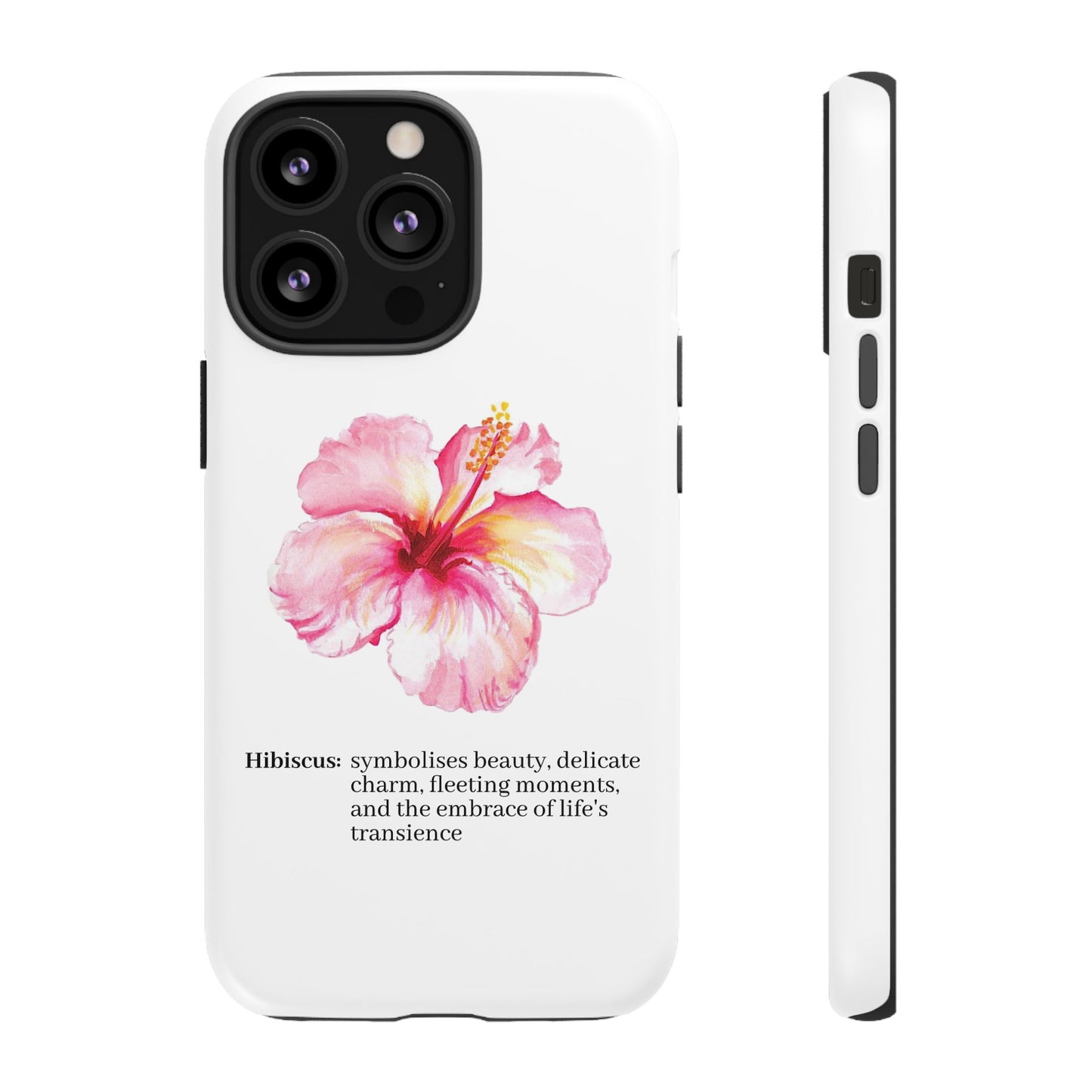 Hibiscus Aesthetic v1