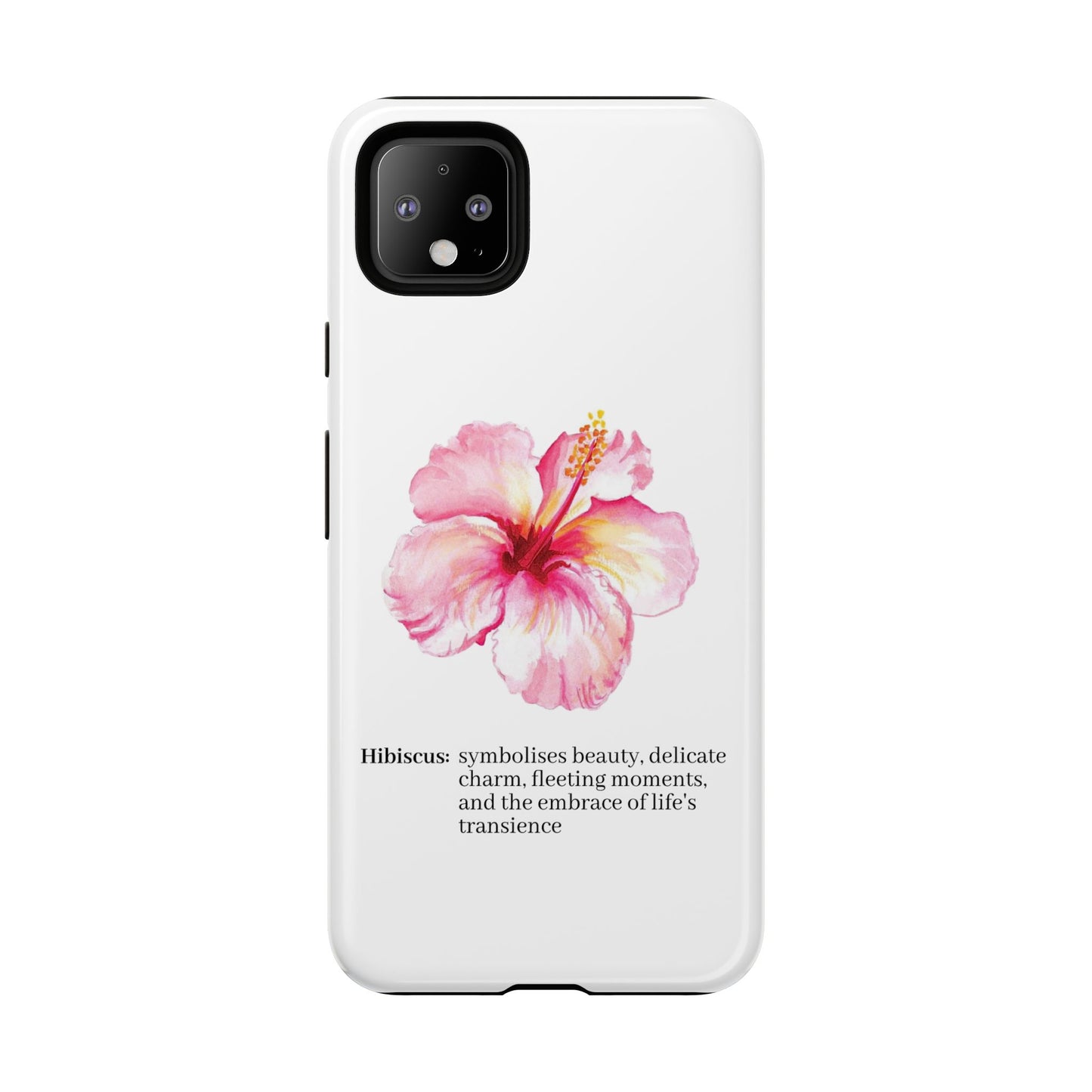 Hibiscus Aesthetic v1