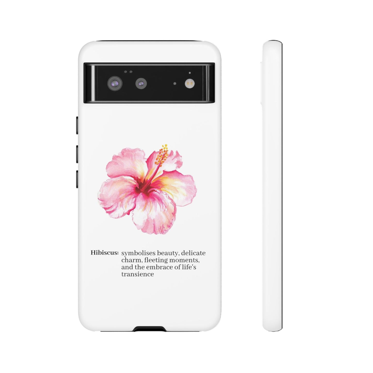 Hibiscus Aesthetic v1