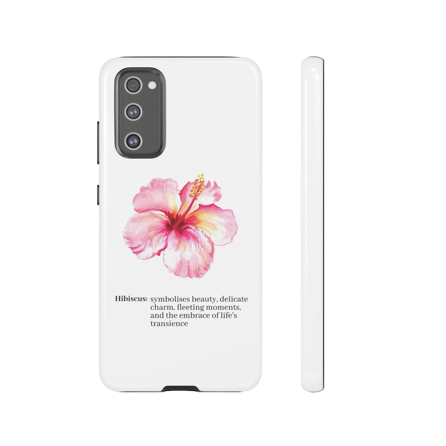 Hibiscus Aesthetic v1