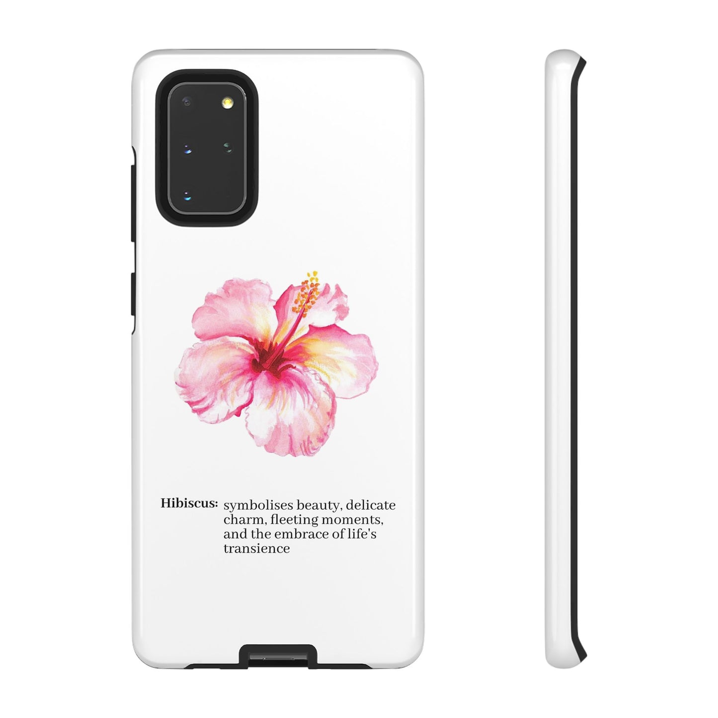 Hibiscus Aesthetic v1