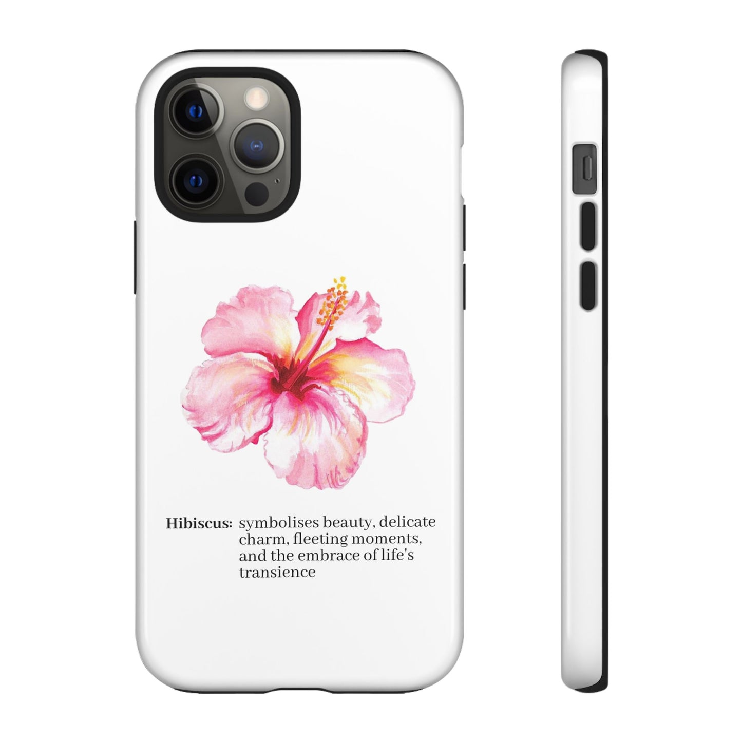 Hibiscus Aesthetic v1