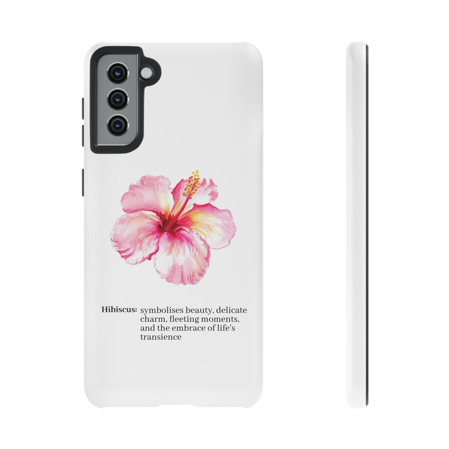 Hibiscus Aesthetic v1