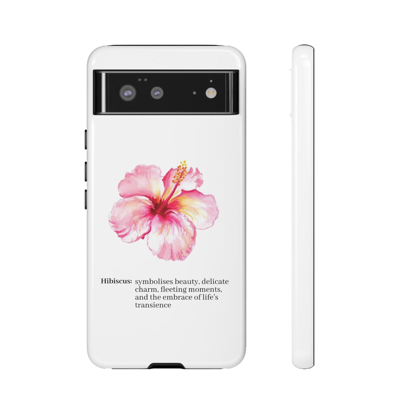 Hibiscus Aesthetic v1