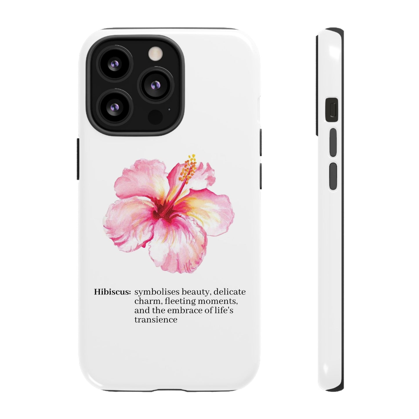 Hibiscus Aesthetic v1