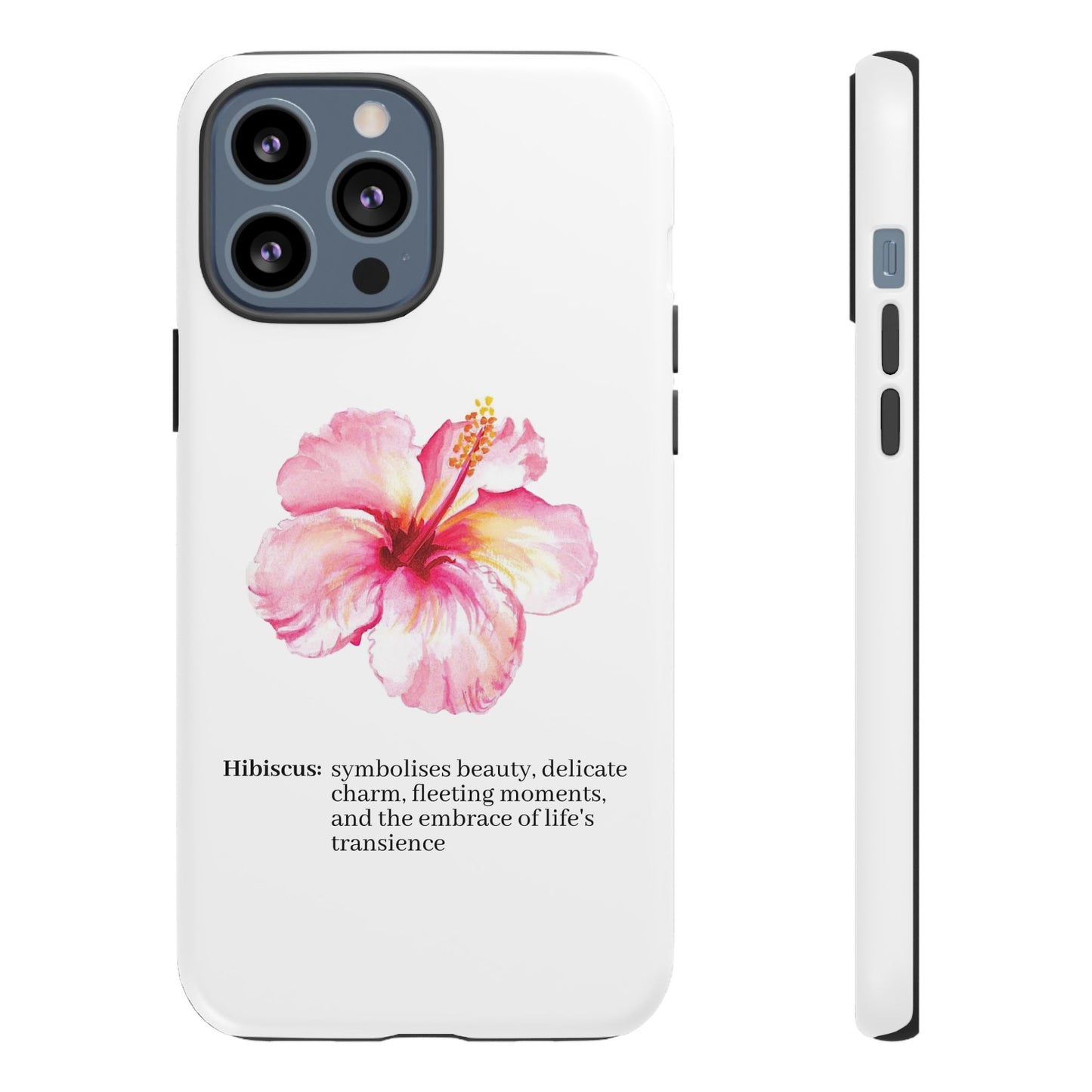 Hibiscus Aesthetic v1